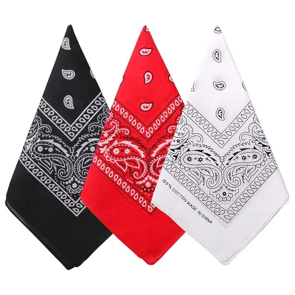 Hip hop cowboy paisley cacheco - Bandana Blank White avaliação e preço